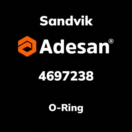 O-Ring 4697238