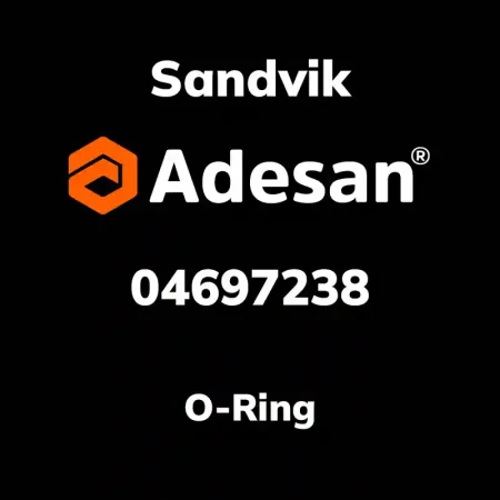 O-Ring 04697238
