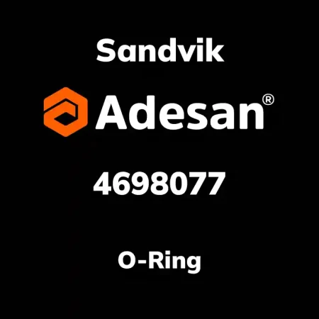 O-Ring 4698077