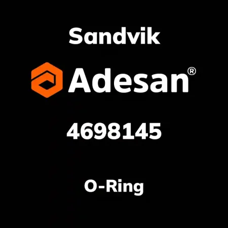 O-Ring 4698145
