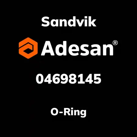 O-Ring 04698145