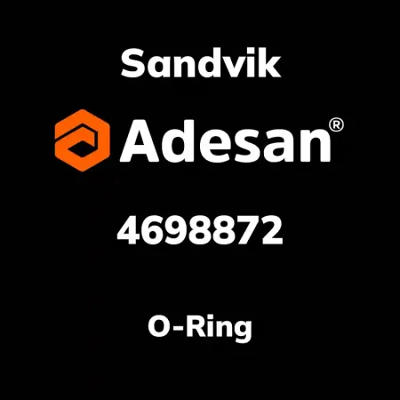 O-Ring 4698872
