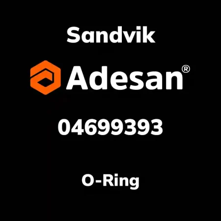 O-Ring 04699393