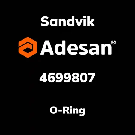 O-Ring 4699807