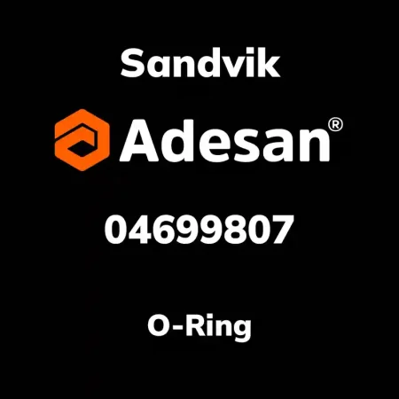 O-Ring 04699807