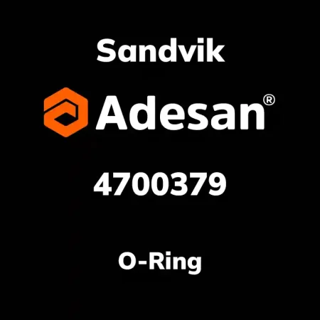 O-Ring 4700379