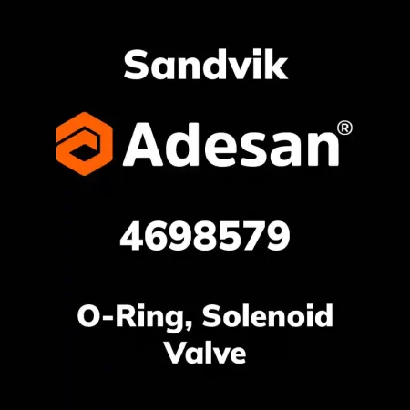 O-Ring, Solenoid Valve 4698579