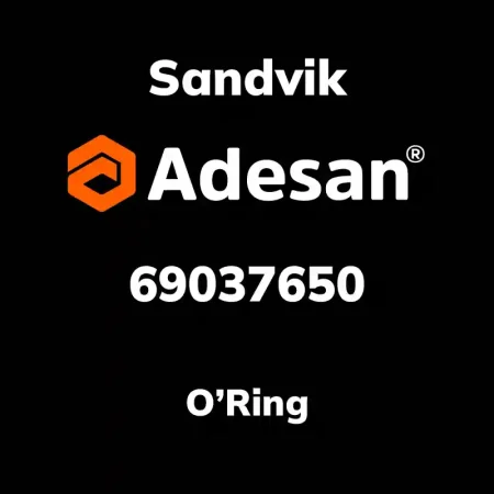 O'Ring 69037650