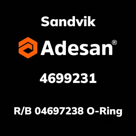 R/B 04697238 O-Ring 4699231