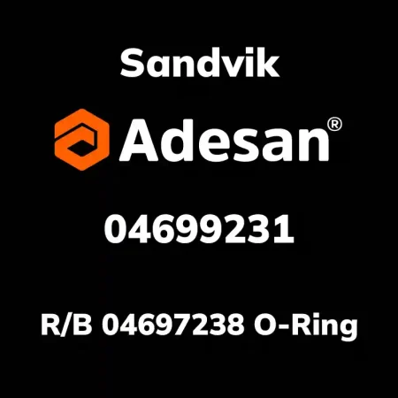 R/B 04697238 O-Ring 04699231