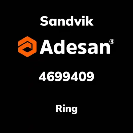 Ring 4699409