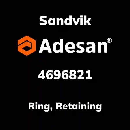 Ring, Retaining 4696821