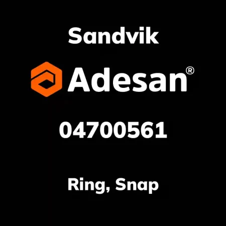 Ring, Snap 04700561