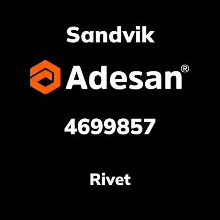 Rivet 4699857