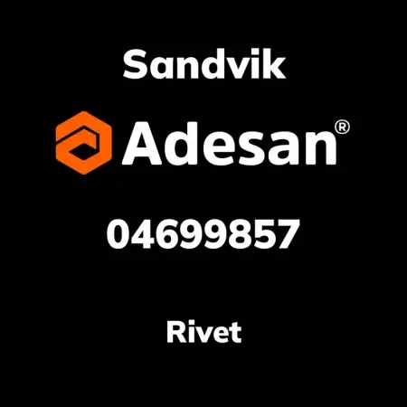 Rivet 04699857