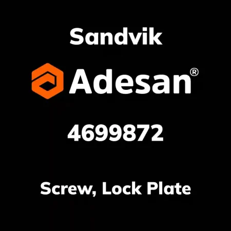 Screw, Lock Plate 4699872