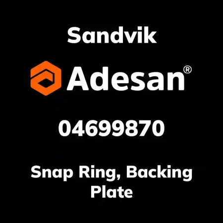 Snap Ring, Backing Plate 04699870