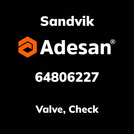 Valve, Check 64806227