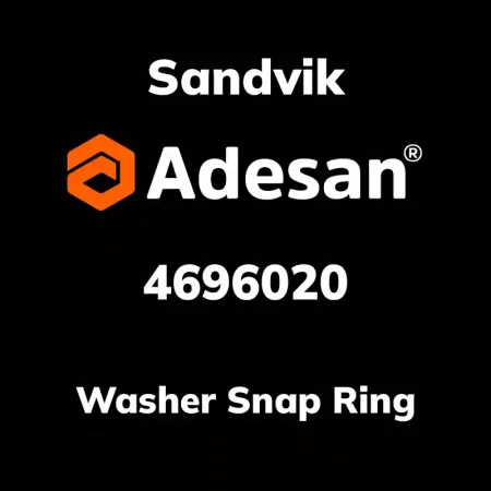 Washer Snap Ring 4696020