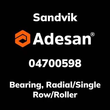 Bearing, Radial/Single Row/Roller 04700598