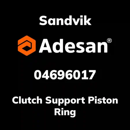 Clutch Support Piston Ring 469 6017