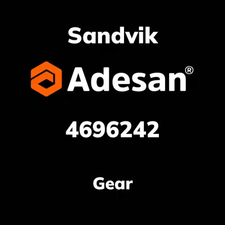 Gear 4696242