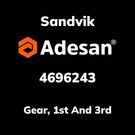 Gear, 1st And 3rd 4696243