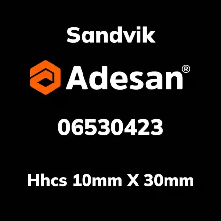 Hhcs 10mm X 30mm 06530423