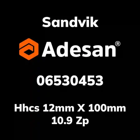 Hhcs 12mm X 100mm 10.9 Zp 06530453